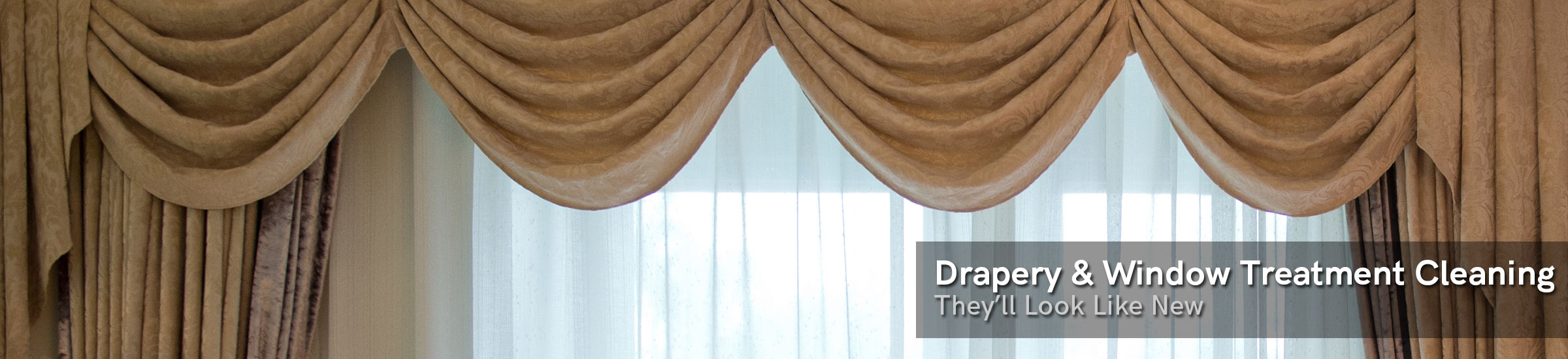 Professional carpet cleaning in Mill Neck, NY