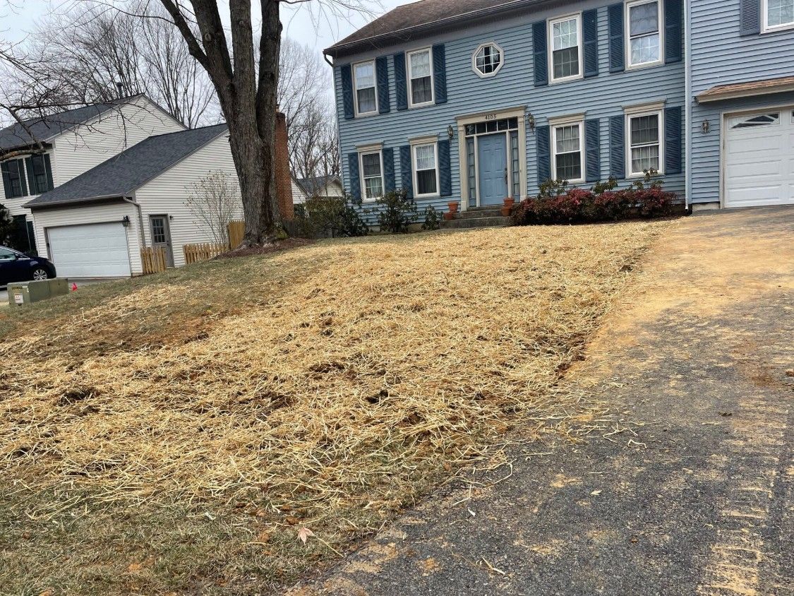 Yard restored with seed and straw after A-1 Trenchless line replacement