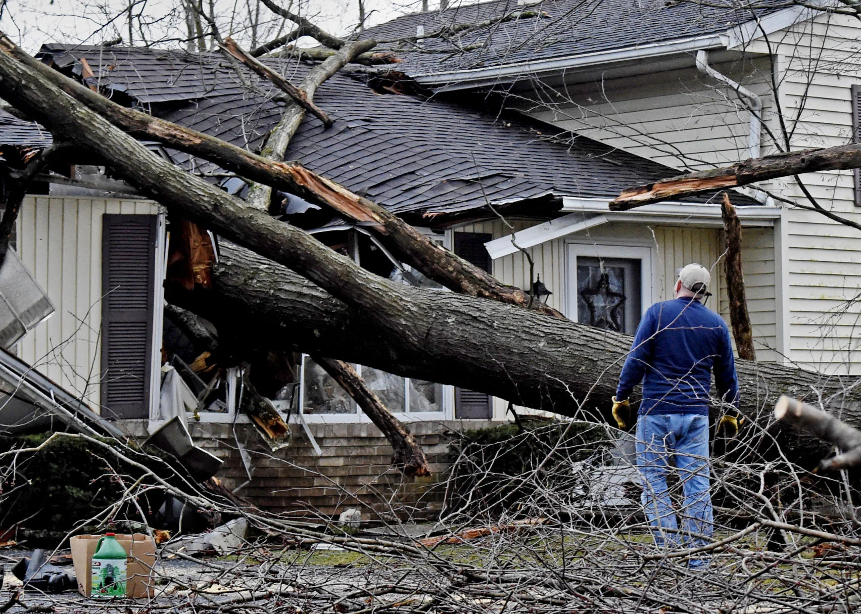 Tree-fall property damage adjuster in Pasadena, TX